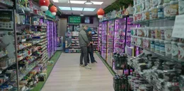 Viele Menschen versprechen sich durch Microdosing mit psychedelischen Tr&uuml;ffeln mehr Leistungsf&auml;higkeit. In den Niederlanden sind sie legal in Smartshops erh&auml;ltlich.