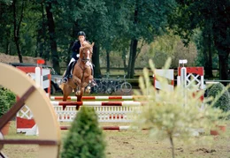 Alinas (Marett Katalin Klahn) gro&szlig;er Tag: Ihr Ritt auf ihrem Traumpferd Silverado beim Springturnier.
