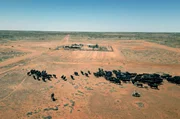 Um die Rinder im weiten Outback wiederzufinden, nutzen die Farmer Flugzeuge. Sie geben den Standort der Tiere an das Team am Boden weiter, das die Rinder dann mit Motorrädern zusammentreibt. Um die Rinder im weiten Outback wiederzufinden, nutzen die Farmer Flugzeuge. Sie geben den Standort der Tiere an das Team am Boden weiter, das die Rinder dann mit Motorrädern zusammentreibt.