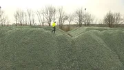 Über Scherben gehen, das kann Recycling-Chef Gerhard Biermann. Mensch und Maschine sortieren und säubern Altglas. Übrig bleiben zehntausende Tonnen gereinigte Scherben, die auf ihren Transport zur Hütte warten. Weitere Fotos erhalten Sie auf Anfrage. Über Scherben gehen, das kann Recycling-Chef Gerhard Biermann. Mensch und Maschine sortieren und säubern Altglas. Übrig bleiben zehntausende Tonnen gereinigte Scherben, die auf ihren Transport zur Hütte warten. Weitere Fotos erhalten Sie auf Anfrage.