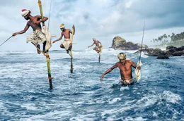 F&uuml;r das Magazin &bdquo;National Geographic&ldquo; fotografierte Steve McCurry 1995 an der Westk&uuml;ste Sri Lankas die traditionelle Stelzenfischerei: Die Fischer sitzen auf Pf&auml;hlen und werfen von dort ihre Angeln aus.