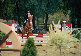 Alinas (Marett Katalin Klahn) gro&szlig;er Tag: Ihr Ritt auf ihrem Traumpferd Silverado beim Springturnier.