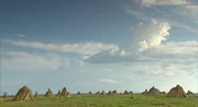 Landschaft im Donaudelta. Landschaft im Donaudelta.