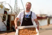 Der Norden lockt mit frischer Brise und Fisch in allen Variationen: In Büsum jagen Krabbenfischer:innen die kleine, köstliche Nordseegarnele. Der Norden lockt mit frischer Brise und Fisch in allen Variationen: In Büsum jagen Krabbenfischer:innen die kleine, köstliche Nordseegarnele.
