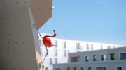Grazil klettert der Flamingo die Kletterwand hoch &ndash; aber ist der Wettkampf auch schon gewonnen?