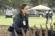Brennan (Emily Deschanel) untersucht eine ziemlich ramponierte Leiche, die auf einem Acker gefunden wurde.