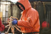 After a rough season, on the Ramblin’ Rose, deckhand Nick Dryden is happy to finally be catching crab. After a rough season, on the Ramblin’ Rose, deckhand Nick Dryden is happy to finally be catching crab.