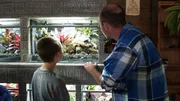 Russell Dasch takes a look with his son at the interior of one of the cages. Russell Dasch takes a look with his son at the interior of one of the cages.