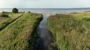 Der Flu&szlig;perlenfluss von Lahemaa m&uuml;ndet hier in die Ostsee.