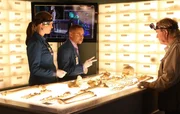 Brennan (Emily Deschanel) und Dr. Clark Edison (Eugene Byrd, M.) erläutern dem Filmemacher Andrew Jursic (Dave Thomas) ihre Vorgehensweise. Brennan (Emily Deschanel) und Dr. Clark Edison (Eugene Byrd, M.) erläutern dem Filmemacher Andrew Jursic (Dave Thomas) ihre Vorgehensweise.