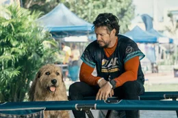 Sie wissen es noch nicht, doch sie werden unzertrennlich: Michael (Mark Wahlberg) und Hund Arthur (Ukai), ein Streuner.