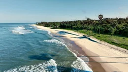 Der Strand der Dschungeltiere.