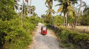 Die Fahrt über die weißen Korallensand-Pisten von Delft Island fühlt sich an wie eine Zeitreise - die abgelegenste bewohnte Insel Sri Lankas verspricht jede Menge Abenteuer und Entspannung. Die Fahrt über die weißen Korallensand-Pisten von Delft Island fühlt sich an wie eine Zeitreise - die abgelegenste bewohnte Insel Sri Lankas verspricht jede Menge Abenteuer und Entspannung.