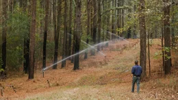 Kontaminiertes Wasser aus der Beregnungsanlage: Trotz Warnungen erlaubt eine schwache Regulierung jahrelang den Einsatz von PFAS, das &uuml;ber die Produktion ins Grundwasser und dann in die W&auml;lder gelangt.