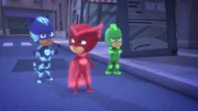 L-R: Catboy (voiced by Jacob Ewaniuk), Owlette (voiced by Addison Holley), Gekko (voiced by Kyle Breitkopf)