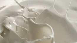 Sternekoch Nelson M&uuml;ller deckt auf, wie frisch, gesund und industrialisiert unsere Milch ist. Er geht daf&uuml;r melken und macht einen Laktoseintoleranz-Test - mit erstaunlichem Ergebnis.