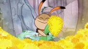 Folge 7