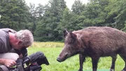 "PUR+" macht Wildtiere hautnah erlebbar! Und damit das klappt, muss sich auch Kameramann Michael Garrett so nah wie möglich an das Wildschwein heran trauen. Auge in Auge mit der Gefahr! "PUR+" macht Wildtiere hautnah erlebbar! Und damit das klappt, muss sich auch Kameramann Michael Garrett so nah wie möglich an das Wildschwein heran trauen. Auge in Auge mit der Gefahr!