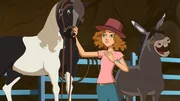 Margot lernt Pferd Jumpy kennen. Esel Jojo gefällt das. Margot lernt Pferd Jumpy kennen. Esel Jojo gefällt das.