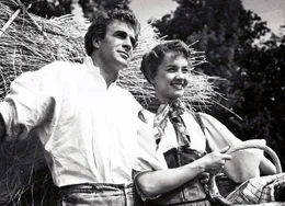 Hannes Schmidhauser als Uli, Liselotte Pulver als Vreneli (Copyright SF)