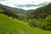 Im Tal der Amischen: Ab dem 17. Jahrhundert fl&uuml;chteten viele Amische aus der benachbarten Schweiz ins Elsass, das damals Teil des Heiligen R&ouml;mischen Reichs Deutscher Nation war.