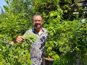 Karl Ploberger stellt robuste Gehölze für den Hausgarten vor. Karl Ploberger stellt robuste Gehölze für den Hausgarten vor.