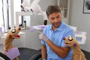 Der Zahnarzt (Patrick Bach) untersucht die Erdm&auml;nnchen.