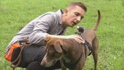 "pur+"-Moderator Eric Mayer bereitet sich mit seinem Hund Caramelo auf eine Wildschweinbegegnung vor. Um den entscheidenden Moment live miterleben zu können, wird Caramelo mit einer eigenen Kamera ausgestattet. Wie nah wird er dem Wildschwein wohl kommen? "pur+"-Moderator Eric Mayer bereitet sich mit seinem Hund Caramelo auf eine Wildschweinbegegnung vor. Um den entscheidenden Moment live miterleben zu können, wird Caramelo mit einer eigenen Kamera ausgestattet. Wie nah wird er dem Wildschwein wohl kommen?