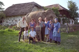 Michael Kreiner (Elefantenw&auml;rter), Angela Meyer (Elefantenw&auml;rterin), Sophie Rois (Emmy), Simon Schwarz (Lukas), Christoph Gusenbauer (Hirtenbub), Susanne Silverio (Lisbeth), Lars Rudolph (Severin), Kirstin Schwab (Liesl), Julia Gschnitzer (alte Nane).