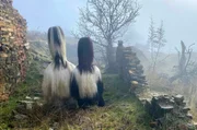 Margaretha Urlachki (re.) zelebriert das Kukeri-Ritual mit ihrem Großvater Vancho (li.). Margaretha Urlachki (re.) zelebriert das Kukeri-Ritual mit ihrem Großvater Vancho (li.).