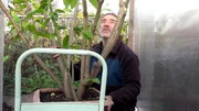 Hajo macht seinen Garten winterfest. Hajo macht seinen Garten winterfest.
