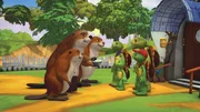 Familie Schildkröte nimmt Familie Biber spontan für ein Wochenende bei sich auf. Familie Schildkröte nimmt Familie Biber spontan für ein Wochenende bei sich auf.