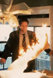 Fox Mulder (David Duchovny) Fox Mulder (David Duchovny)