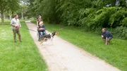 Martin R&uuml;tter, Corinna, Anama (vorne), Kurzhaarcollie Milo und Testperson Alexander