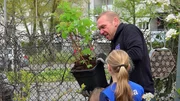 Frank pflanzt mit Hilfe der Kids neue Himbeerstr&auml;ucher ein