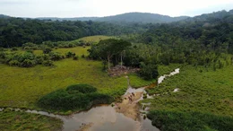 Luftaufnahme der Mumba Bai im Regenwald Gabuns. Die nat&uuml;rliche Waldlichtung mit ihren Wasserstellen und mineralstoffreichen B&ouml;den ist ein bedeutender Lebensraum f&uuml;r die bedrohten Waldelefanten.