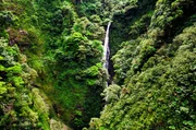 Ein Wasserfall mitten im Regenwald Zentralamerikas: Besonders in Costa Rica gibt es aufgrund des Klimas und der Vulkanlandschaft viele dieser tropischen Wasserfälle. Ein Wasserfall mitten im Regenwald Zentralamerikas: Besonders in Costa Rica gibt es aufgrund des Klimas und der Vulkanlandschaft viele dieser tropischen Wasserfälle.