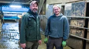 Fröhlich im Stall: Ausbilder Sönke (l.) mit Azubi und zukünftigem Landwirt Jeffrey. Fröhlich im Stall: Ausbilder Sönke (l.) mit Azubi und zukünftigem Landwirt Jeffrey.