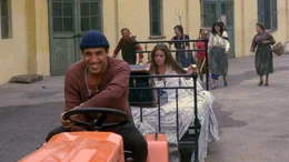 Der 40-j&auml;hrige Weinbauer Elia (Adriano Celentano) ist ein begehrter Junggeselle. Allerdings interessiert sich der bodenst&auml;ndige Einzelg&auml;nger mehr f&uuml;r seine Arbeit als f&uuml;r romantische Zweisamkeit mit Lisa (Ornella Muti)