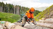 Holzf&auml;ller mit Kettens&auml;ge im Wald bei der Arbeit