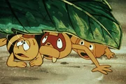 Etwas Merkwürdiges geht vor: Maja, Willie und der neue Freund hören schwere Schritte. Etwas Merkwürdiges geht vor: Maja, Willie und der neue Freund hören schwere Schritte.