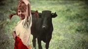 Mit einer Torero-Einlage gelingt es Pippi (Inger Nilsson), den Stier müde zu machen, bevor er dem kleinen Nisse etwas antun kann. Mit einer Torero-Einlage gelingt es Pippi (Inger Nilsson), den Stier müde zu machen, bevor er dem kleinen Nisse etwas antun kann.