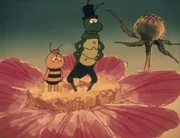 Der Weg zum Wald ist weit und Flip ist total erschöpft. Der Weg zum Wald ist weit und Flip ist total erschöpft.