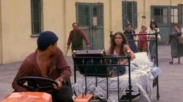 Der 40-j&auml;hrige Weinbauer Elia (Adriano Celentano) ist ein begehrter Junggeselle. Allerdings interessiert sich der bodenst&auml;ndige Einzelg&auml;nger mehr f&uuml;r seine Arbeit als f&uuml;r romantische Zweisamkeit mit Lisa (Ornella Muti)