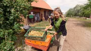 Urlaub gegen Hand macht Silke auf einem kleinen Bio-Bauernhof bei Dassow. Wer hier mitarbeitet, hat freie Kost und Logis. Urlaub gegen Hand macht Silke auf einem kleinen Bio-Bauernhof bei Dassow. Wer hier mitarbeitet, hat freie Kost und Logis.