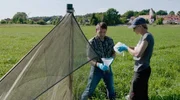 Bei der Bestandsaufnahme von Insekten. Bei der Bestandsaufnahme von Insekten.