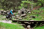 Bayerisches Fernsehen TRAUMPFADE, "Der Main-Radweg - Vom Ochsenkopf nach Schweinfurt". Nervosität zu Reisebeginn gehört natürlich dazu: Reicht die Kondition? Was tun, wenn es einen Platten gibt? Hält das Wetter? Aber die ersten Kilometer auf dem Main-Radweg laufen gut. Zunächst geht es für Kathrin Meyer im Fichtelgebirge den Ochsenkopf bergab durch verwunschene Wälder und heimelige, verschlafene Dörfer. Weitere Bilder finden Sie unter www.br-foto.de. Bayerisches Fernsehen TRAUMPFADE, "Der Main-Radweg - Vom Ochsenkopf nach Schweinfurt". Nervosität zu Reisebeginn gehört natürlich dazu: Reicht die Kondition? Was tun, wenn es einen Platten gibt? Hält das Wetter? Aber die ersten Kilometer auf dem Main-Radweg laufen gut. Zunächst geht es für Kathrin Meyer im Fichtelgebirge den Ochsenkopf bergab durch verwunschene Wälder und heimelige, verschlafene Dörfer. Weitere Bilder finden Sie unter www.br-foto.de.