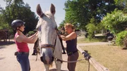 Putzen und Satteln müssen die Reiturlauberinnen ihre Pferde selbst. Putzen und Satteln müssen die Reiturlauberinnen ihre Pferde selbst.