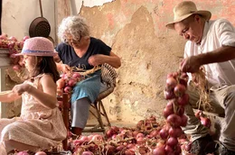 Vincenzo Anselmi (r.) beim traditionellen Flechten der Zwiebelz&ouml;pfe von Patresi. Das Gem&uuml;se mit mildem Geschmack wird traditionell auf der Insel Elba angebaut und schmeckt im Salat, zu Tintenfisch oder Gulasch, Eierkuchen - roh oder gegrillt.