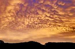 &bdquo;Mammatus&ldquo; nennt der Fachmann Wolken, die wie runde Beutel aus der Gewitterwolke herabh&auml;ngen. Es sind fallende kalte Luftmassen mit kleinen Wassertr&ouml;pfchen oder Eiskristallen, die in tiefen, w&auml;rmeren Luftschichten verdunsten. Das sieht aus wie ein Tropfen Milch, der in ein Wasserglas gesch&uuml;ttet wird.